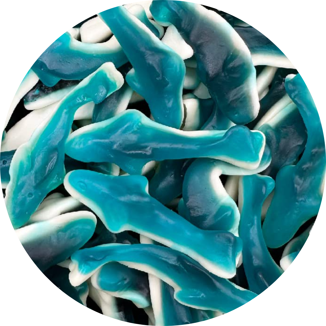 100G - Blue Dolphins