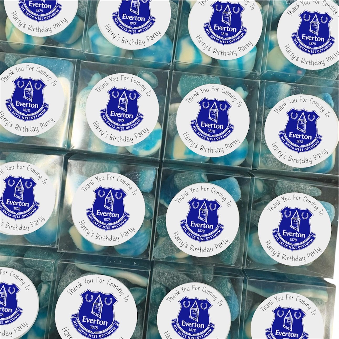 Everton | Mini Boxes