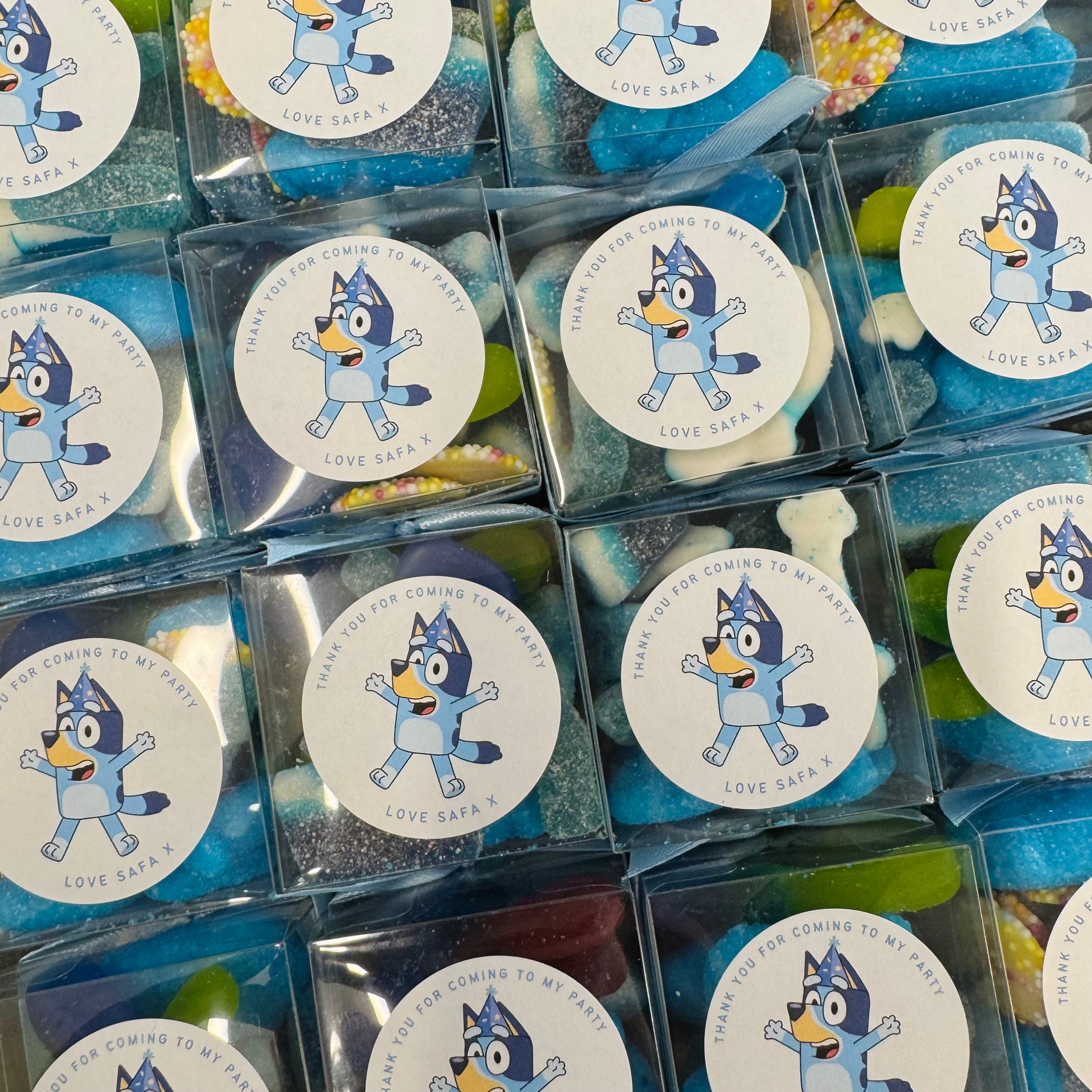 Bluey | Mini Boxes