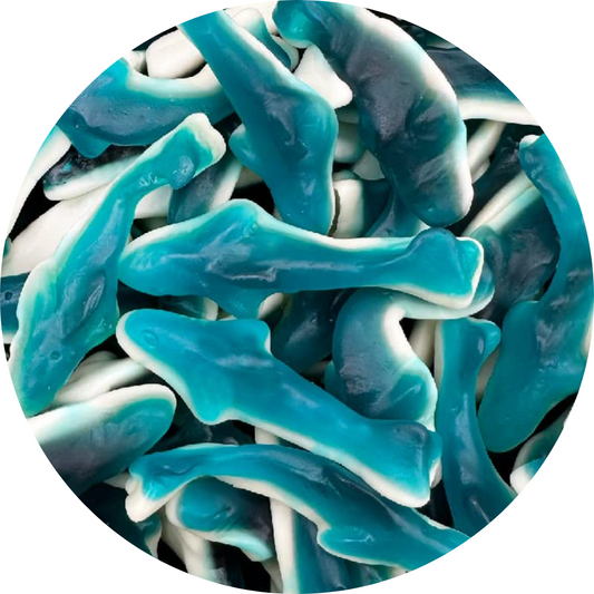 100G - Blue Dolphins