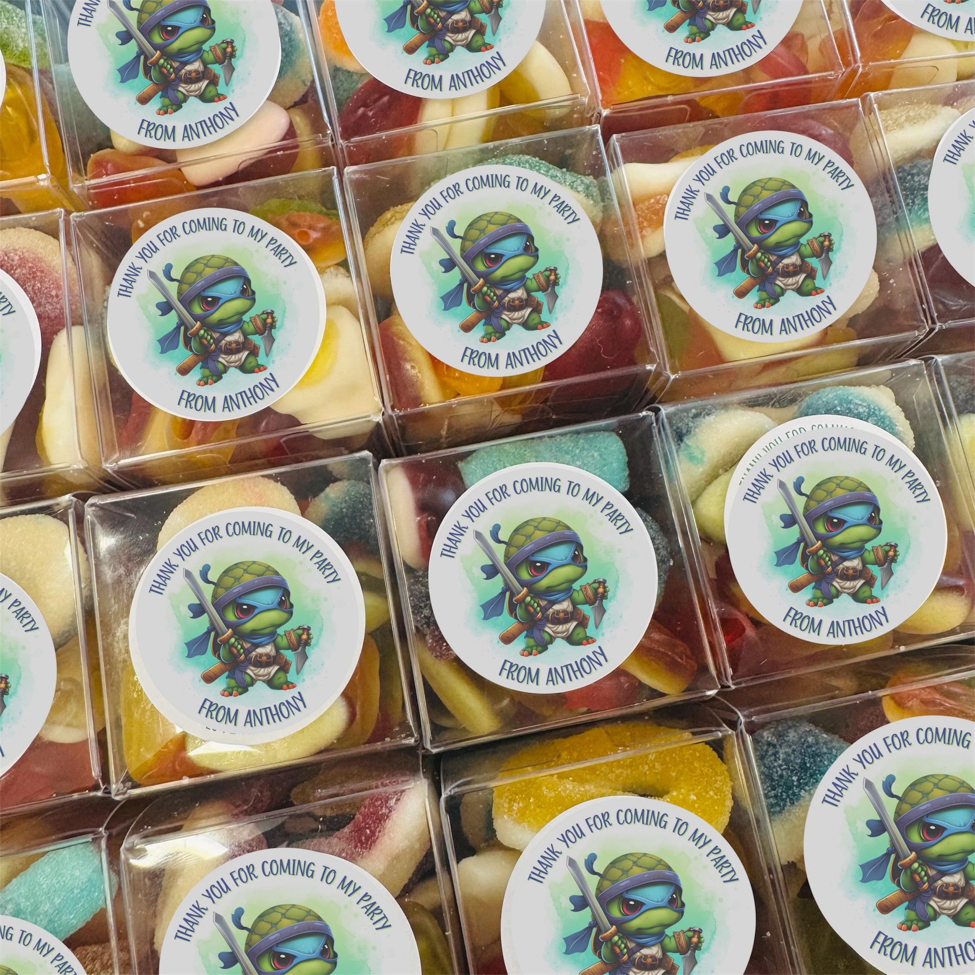 Ninja Turtle | Mini Boxes